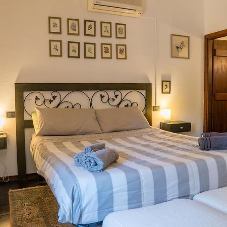 Fattoria Dei Piani Srl Villa Olmedo Dış mekan fotoğraf