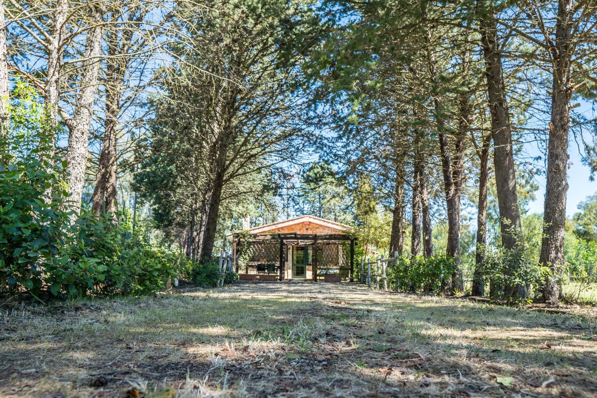 Fattoria Dei Piani Srl Villa Olmedo Dış mekan fotoğraf